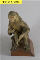 臺灣獼猴藏品圖，第9張